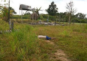 Corpo foi achado à margem da estrada do município
