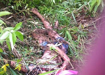 Médico atropela e mata adolescente na BR 364