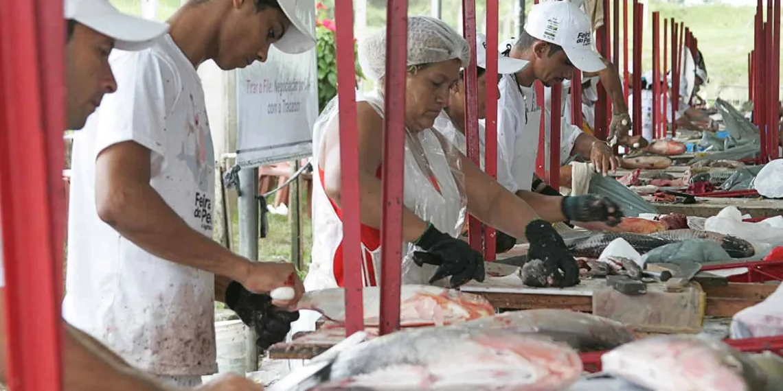 Quase 200 trabalhadores participam da feira este ano