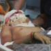 Adolescente teve um grave traumatismo craniano