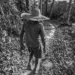 Exposição vem para reforçar os ideais do líder seringueiro