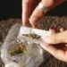 Anvisa estuda liberar uso controlado de produtos à base de maconha