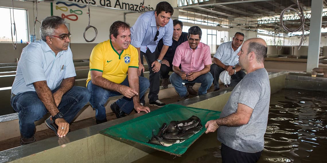 Fábrica de ração da Peixes da Amazônia será a mais moderna do Brasil