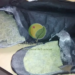 Polícia Federal prende peruana com cocaína tentando entrar no Brasil pelo Acre