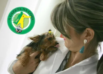 Animais têm audição sensível, que deve ser respeitada