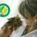 Animais têm audição sensível, que deve ser respeitada