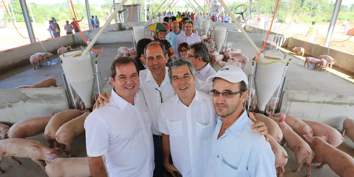 Galpões têm capacidade de produção de até 100 t. de carne