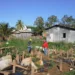 Mais de 105 famílias moravam ao lado de córrego