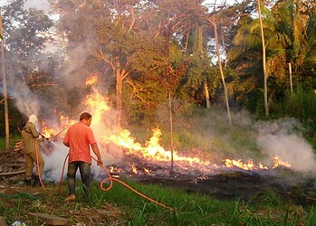 Bombeiros tiveram que agir rápido pra controlar o fogo