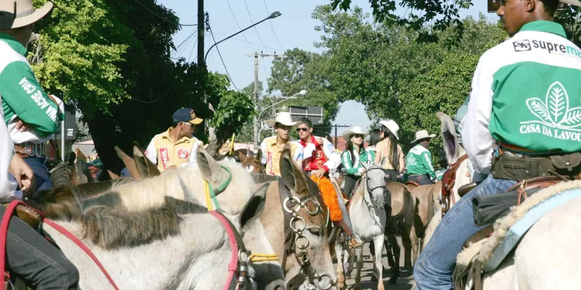 Animais devem ter acesso fácil à comida e água no evento