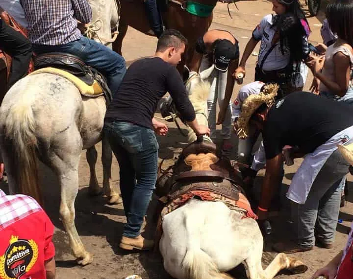 Órgão estuda acabar com evento por causa de incidentes