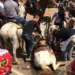 Órgão estuda acabar com evento por causa de incidentes