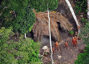 Primeira foto da tribo revela índios isolados para o mundo