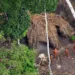 Primeira foto da tribo revela índios isolados para o mundo