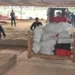 Policiais da DRE queimam mais de 300 Kg de drogas apreendidas