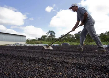 Foto: Gleilson Miranda/Secom
