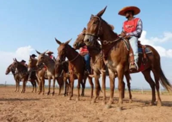 Marcha de Muares será no dia 28 na Arena de Rodeios