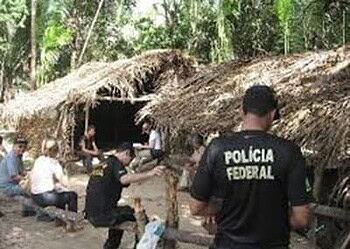 Fazendas são locais que concentram mais flagrantes