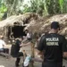 Fazendas são locais que concentram mais flagrantes