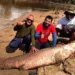 Em pesca esportiva, amigos fisgam pirarucu de 80kg em rio na Bolívia
