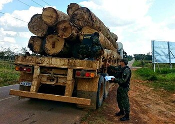Caminhão é apreendido por suspeita de transporte ilegal de madeira no AC