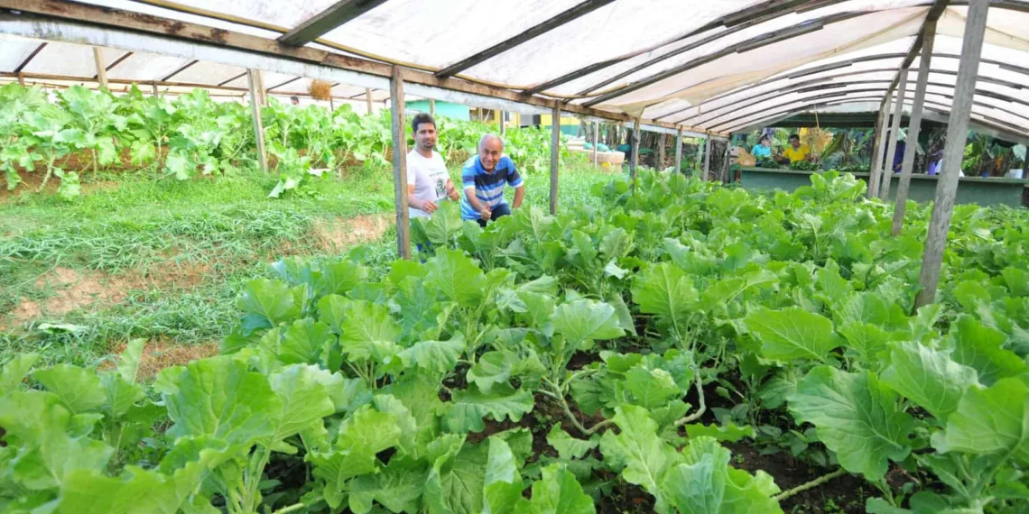 Bocalom: “hortas orgânicas serão mais uma alternativa para gerar empregos no Acre”