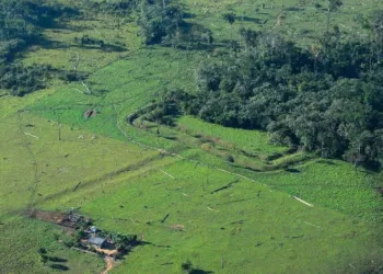 Inicia III Simpósio Internacional da Amazônia Ocidental no auditório da Ufac
