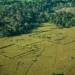 Geoglifos do Acre serão estudados durante simpósio