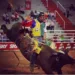 Peões acreanos ficam entre os 15 melhores na primeira noite da Liga Nacional de Rodeio