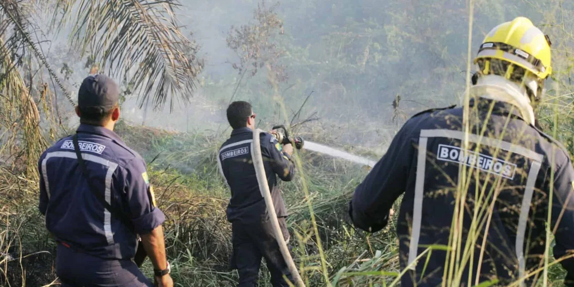 Mais de 40 entidades se uniram para combater queimadas