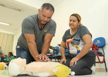 Profissionais da saúde do Estado participaram da capacitação