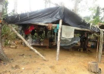 Vítimas trabalhavam na Fazenda Porto Alegre