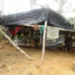 Vítimas trabalhavam na Fazenda Porto Alegre