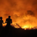 Incêndio teria destruído uma grande área de vegetação