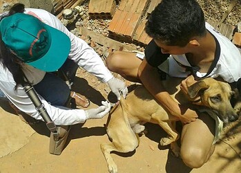 Agente em trabalho de vacinação na periferia da Capital