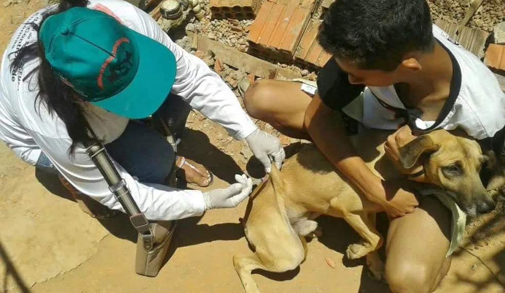 Agente em trabalho de vacinação na periferia da Capital