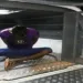Foragido é preso no bairro Santa Inês