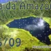 Confira o que abre e fecha no feriado de Dia da Amazônia