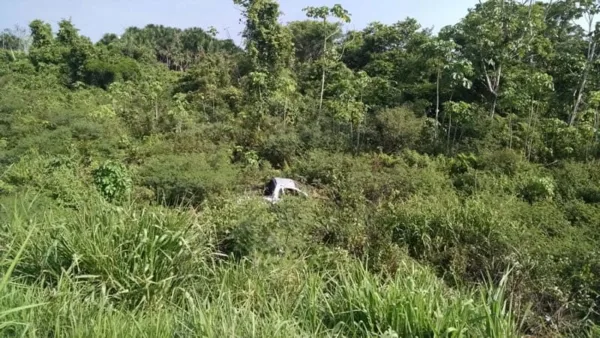 Acidente na BR-364 deixa uma pessoa morta e três gravemente feridas 3 Acidente na BR-364 deixa uma pessoa morta e três gravemente feridas