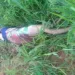 Homem é encontrado morto em ramal de Sena Madureira