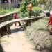 Homens trabalham na retirada de mato e entulho
