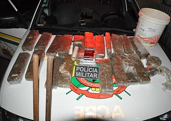 Cerca de 50 kg de maconha é apreendida pela polícia