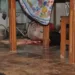Homem é executado com vários tiros na cabeça no bairro Airton Sena