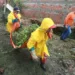 Travessa São Gabriel, no Aviário, passa por melhorias
