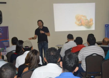 Evento visa impulsionar indústria madeireira e moveleira