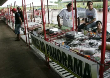 Feira vai até o dia 23, com muitas opções de pescados
