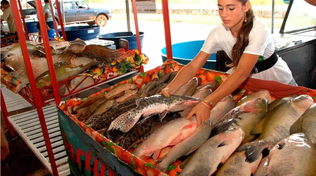 Feira do Peixe Natalina começa nesta sexta-feira na Ceasa