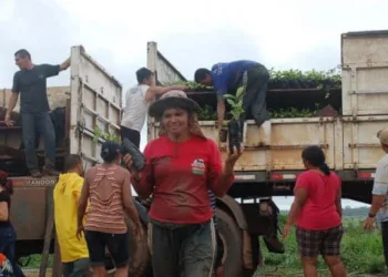 Assentados do PA Campo Alegre foram contemplados