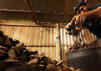 O fortalecimento da produção é uma das propostas do plano de governo