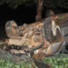 Buraco na Estrada de Porto Acre causa capotamento em Rio Branco